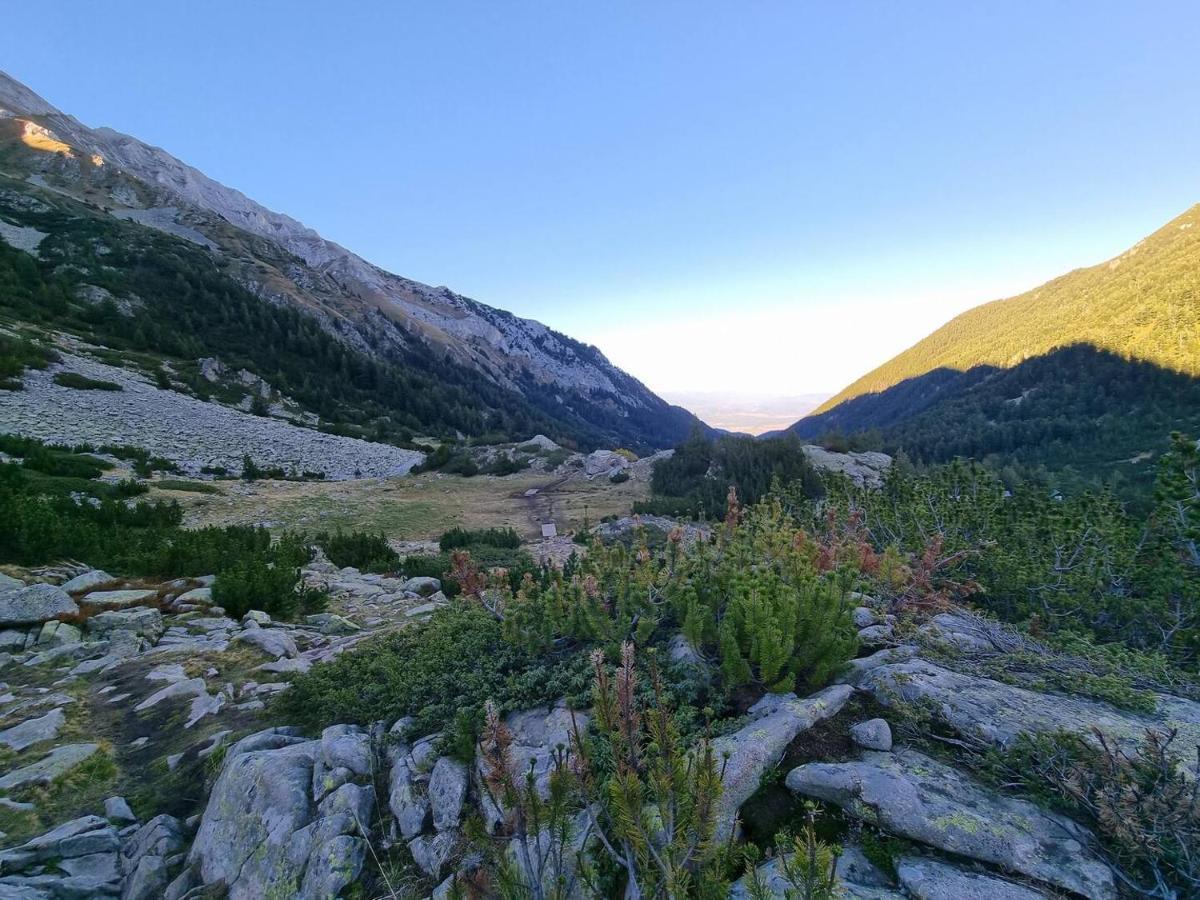 דירות Bansko Royal Towers T&K מראה חיצוני תמונה